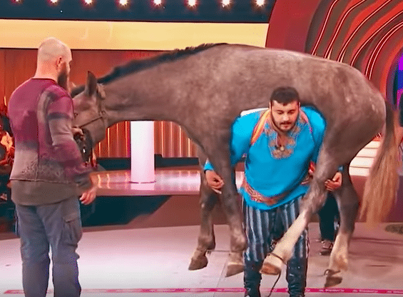 Vidéo : voici le Hulk blanc, il se déplace avec un cheval sur le dos !