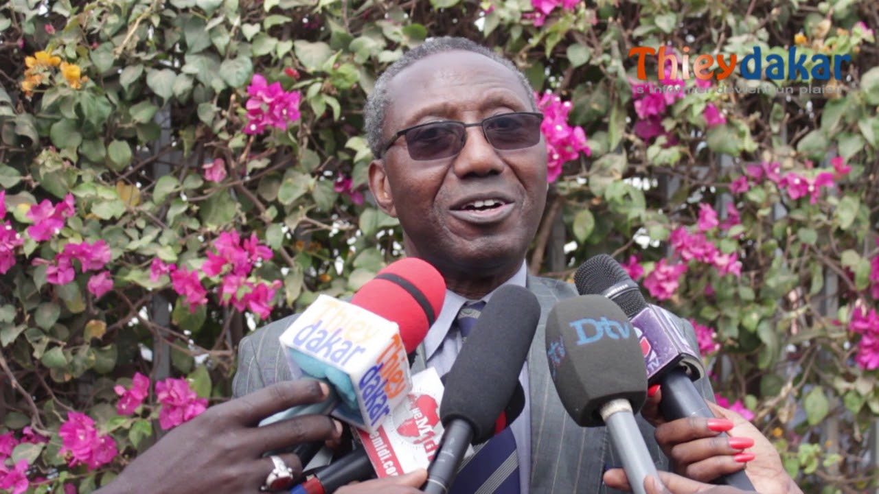 Me Doudou Ndoye au Juge Lamott : «L’Assemblée ne vous a pas donné mandat de juger Khalifa»