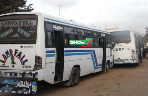 Chasseurs de plaisir en action: Ça se frotte dans les bus - Senegal7