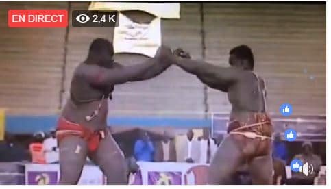 En Direct: Regardez le combat Balla Gaye vs Gris Bordeaux sur Senegal7