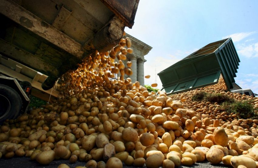 Tabaski 2018 :Risque de pénurie de pomme de terre, l’Unacois/Jappo tire sur la sonnette d’alarme