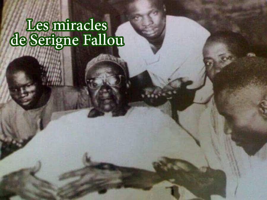 Vidéo: les miracles jamais dévoilés de Serigne Fallou Mbacké