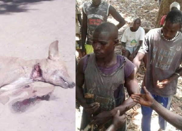 Violences inter-villageoises à Oussouye: un homme lynché, un chien égorgé et plusieurs dégâts. Les autorités muettes(Photos)