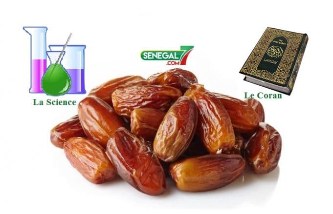 Santé et Ramadan : Les bienfaits de la datte selon la Science et le Coran