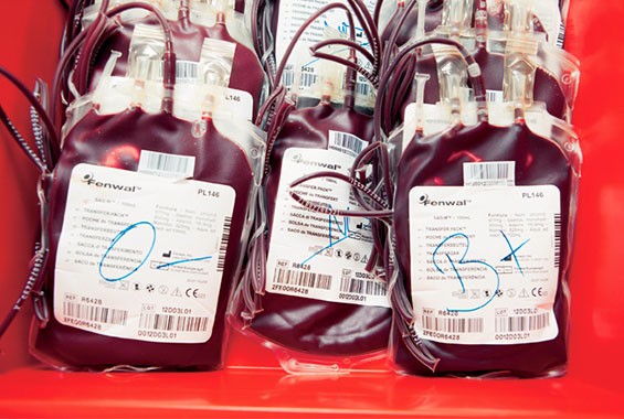 Vente de poches de sang à la Gambie : Le Centre national de transfusion sanguine a apporté un démenti