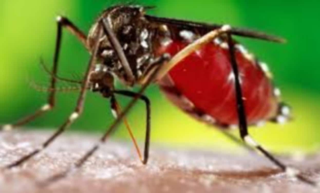 Fatick-Epidémie dengue : Le bilan passe de 9 à 12 cas