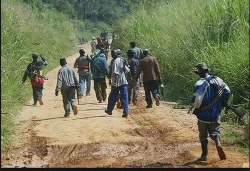 Casamance: Les 4 exploitants forestiers disparus font signe de vie