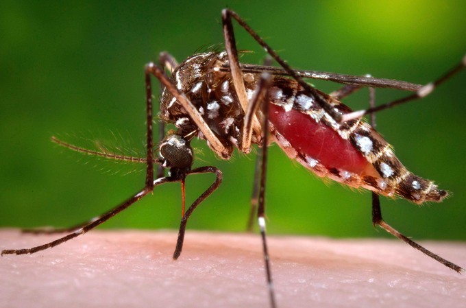 Tivaouane : un cas de dengue suspecté