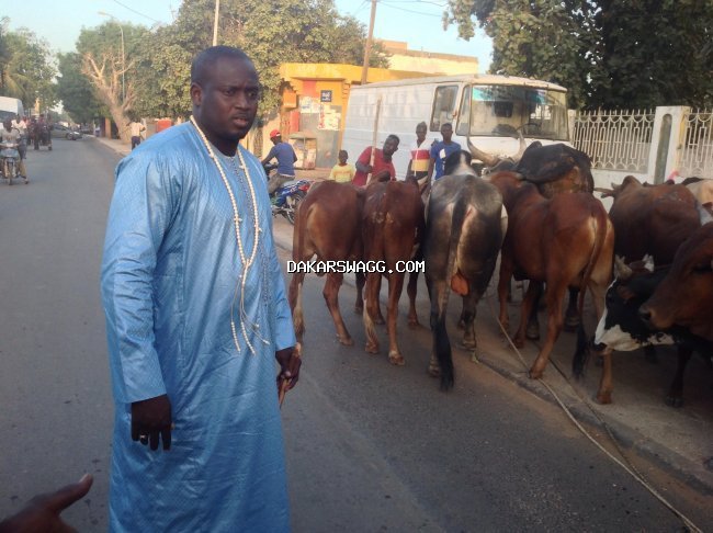 Gamou de Médina Baye : Aziz Ndiaye offre 12 bœufs et plus des barils d’huile