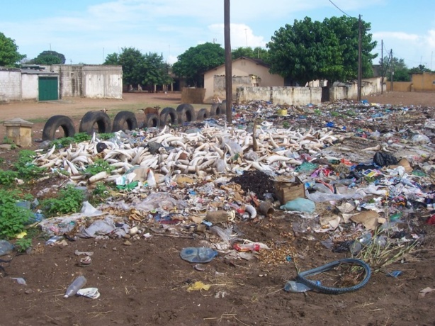 Tivaouane : L'UCG lance la caravane de sensibilisation sur les infrastructures de gestion des déchets