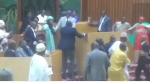 Quand l’assemblée nationale est transformée en ring de boxe : Une honte pour le Sénégal !