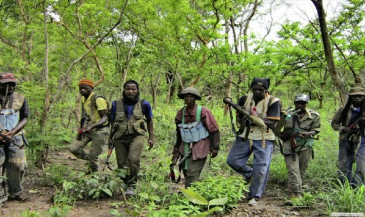 Casamance : Plus de 250 combattants ont déposé les armes 