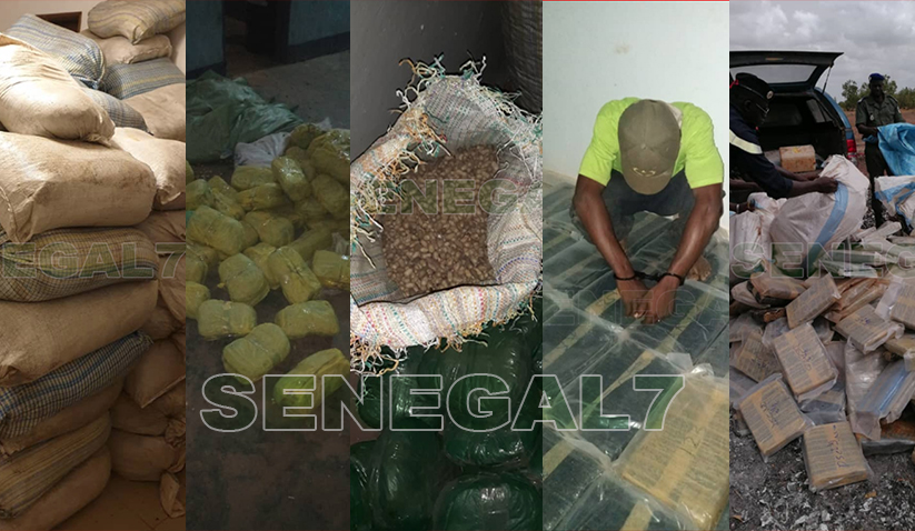 Bilan - Douane sénégalaise : Une quantité énorme de drogue saisie estimée à 1,4 milliards