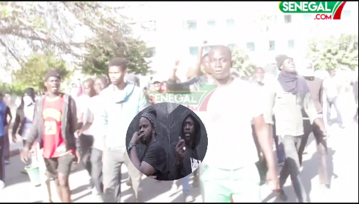 Vidéo - Affrontement à l'Ucad: Les étudiants paraphrasent Keur Gui "Macky Saï Saï leu..."