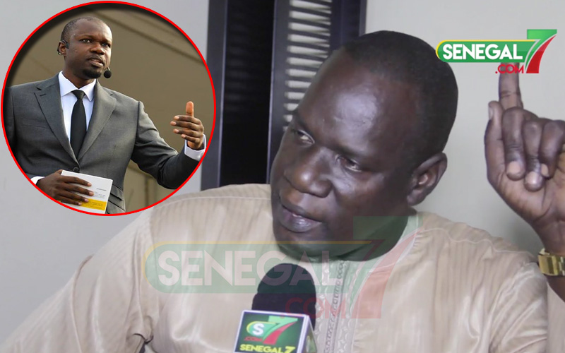 Vidéo - Momar Diongue : "Ousmane Sonko est l'homme politique le plus..."