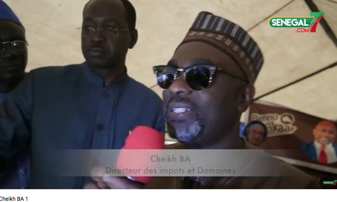 Vidéo - Présidentielle 2019: Cheikh Bâ oeuvre pour la réélection de Macky Sall