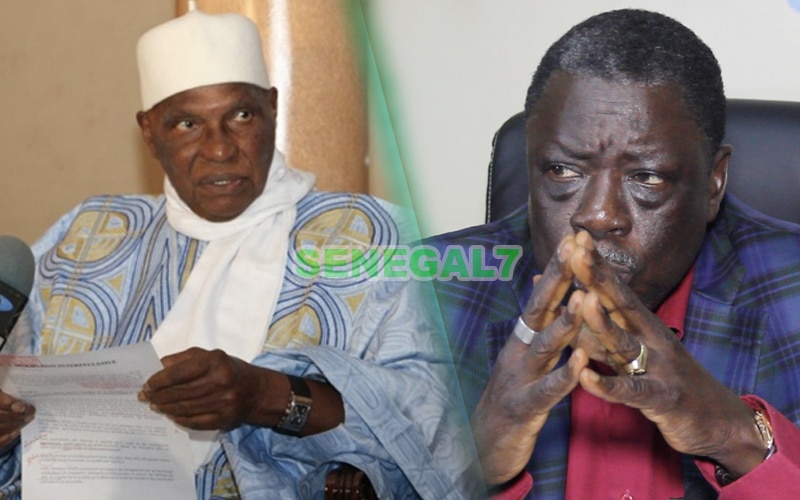 Boycott de la présidentielle et appel à la violence: Me Ousmane Seye se prononce sur les propos tenus par le président Wade