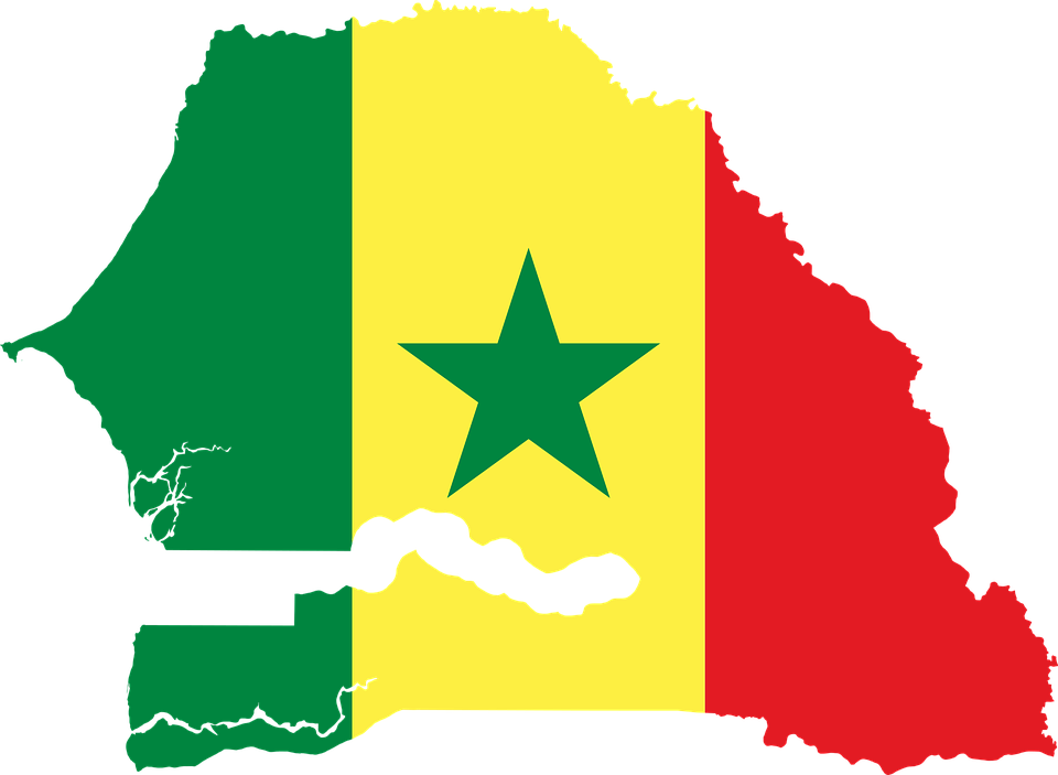 Présidentielle 2019 : Le Sénégal perd son statut de vitrine démocratique
