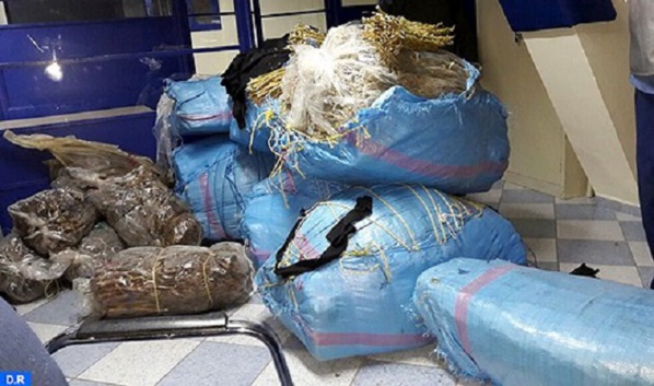 Kolda : 337 kg de chanvre indien saisis par la douane