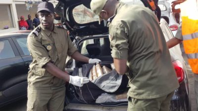 Port autonome de Dakar: La Douane saisit 238 Kg de cocaïne au Môle 1