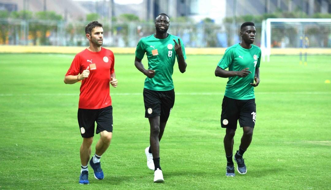 (06 Photos) Découvrez comment les Lions préparent le choc face à l'Algerie