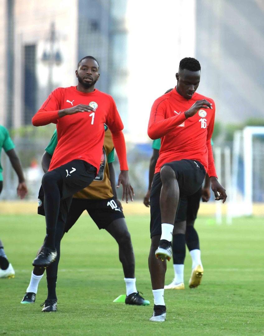 (06 Photos) Découvrez comment les Lions préparent le choc face à l'Algerie