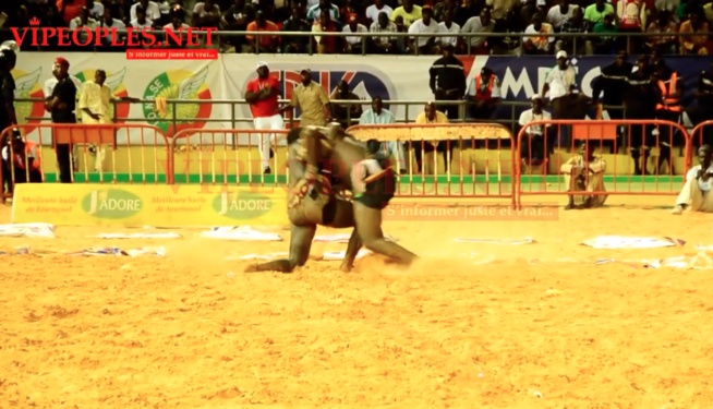 (Photos) Boy Niang vs Lac 2: Découvrez les images de la chute qui crée la polémique