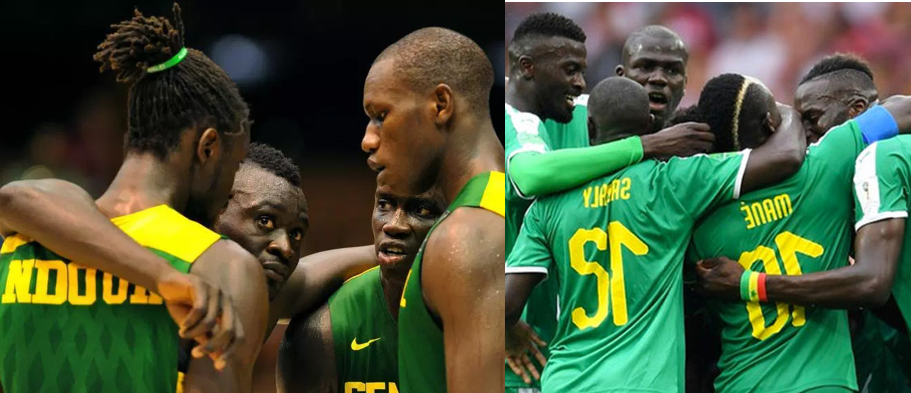Finale CAN 2019: Le Basket Sénégalais a fond derrière les "Lions"