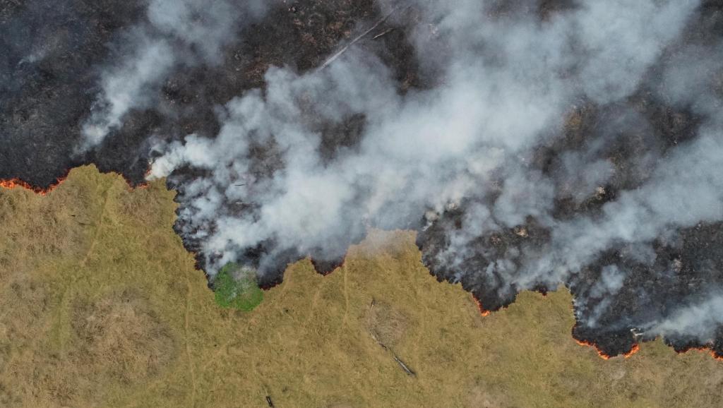 2019 08 26t000000z 2000913215 Rc180a432ce0 Rtrmadp 3 Brazil Environment Wildfires