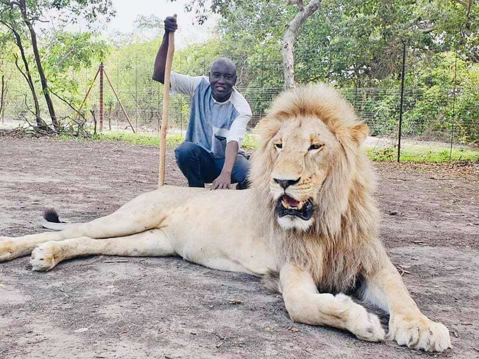 69398832 10159118058407228 366483258650656768 N