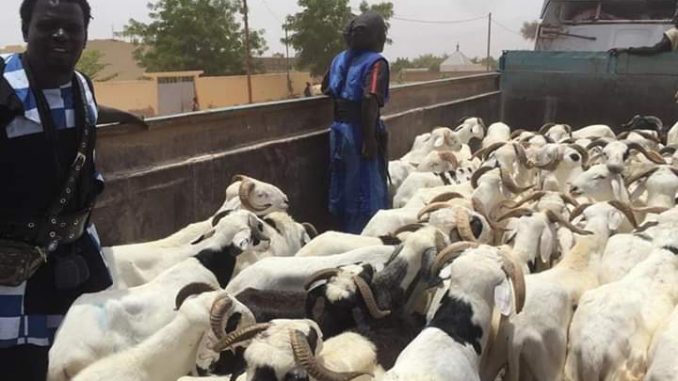 FB IMG 1565373201913 678x381