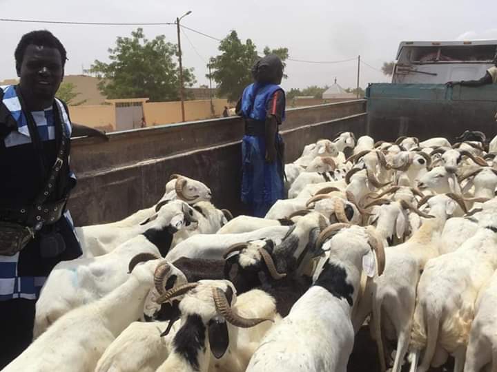 FB IMG 1565373201913