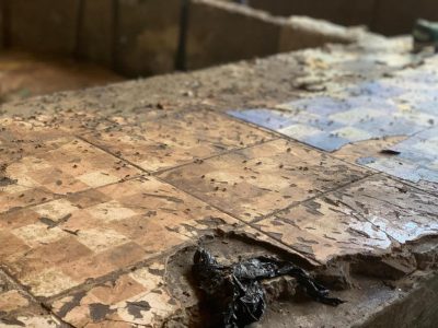 WhatsApp Image 2019 08 17 At 08.30.13 (2)