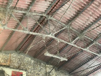 WhatsApp Image 2019 08 17 At 08.30.14