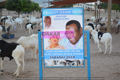 Mouton Tabasky Thiantacoune Bethio Thioune Dakarbuzz 12