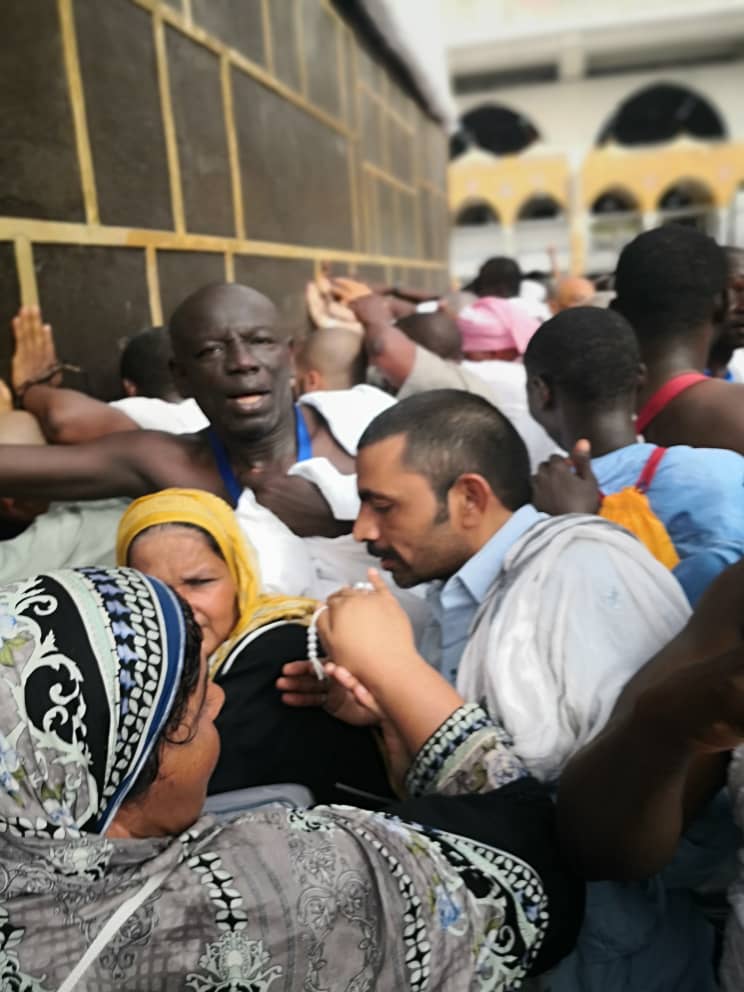 Wialne Et Ngouille 15