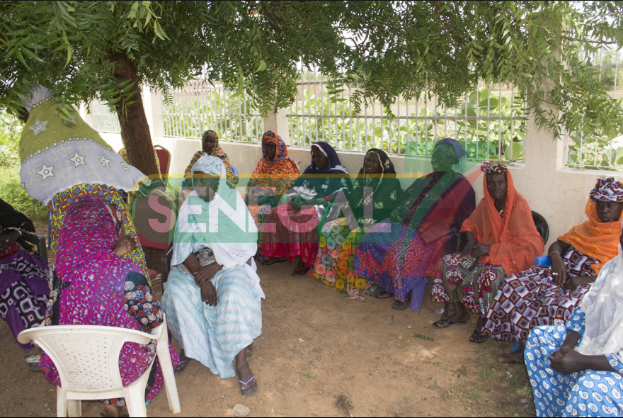 Capture D’écran 2019 09 07 À 2.06.21 PM