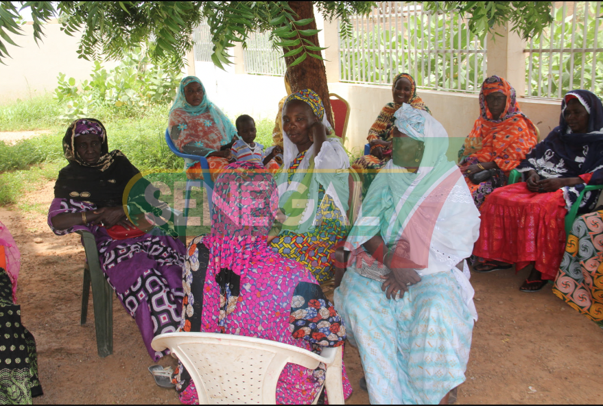 Capture D’écran 2019 09 07 À 2.06.31 PM