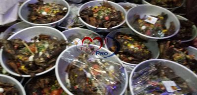 C73b8635 9905 41f5 8846 71e045644155