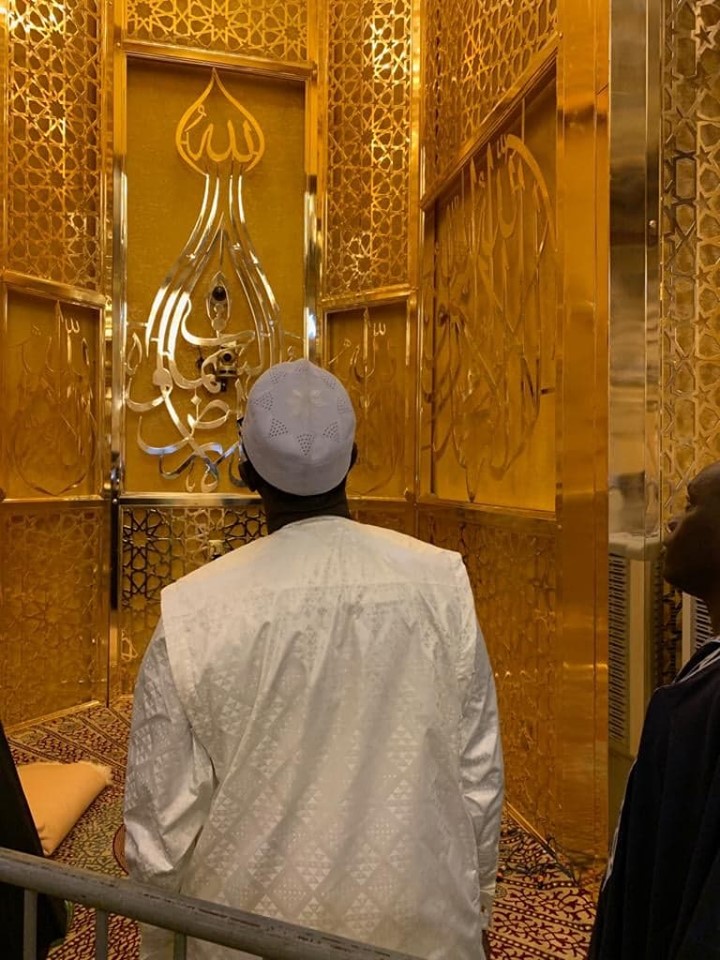 71814778 375338053368914 1957869633679654912 N