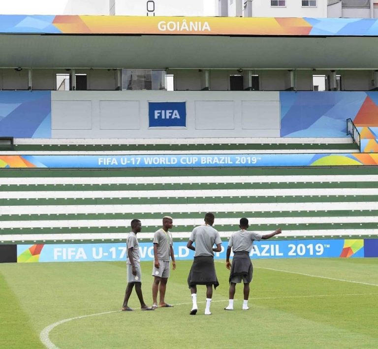 74611539 1038591673199415 1174644263779041280 N 768x710