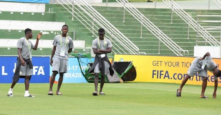 75226365 1038591626532753 4012812554815406080 N 768x402