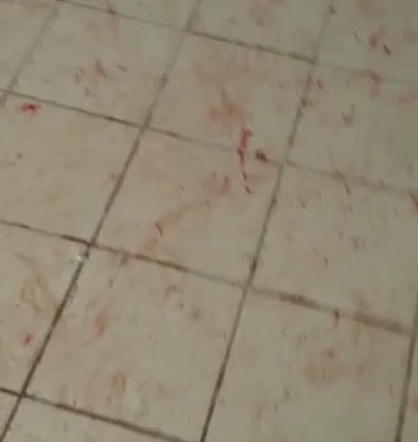 [09 Photos-Vidéo] Louga : Regardez comment les soutiens du maître coranique ont saccagé le tribunal