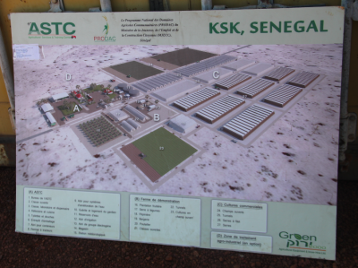 Video - Lancement des travaux de Keur Samba Kane : Néné Fatoumata TALL insuffle une nouvelle dynamique aux DAC