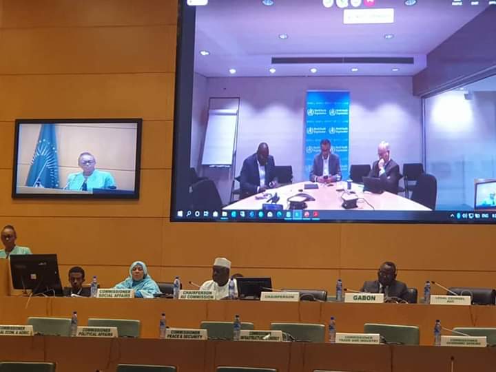 Réunion ministérielle d'urgence de l'Union Africaine sur l'épidémie de la maladie à coronavirus (COVID-19)