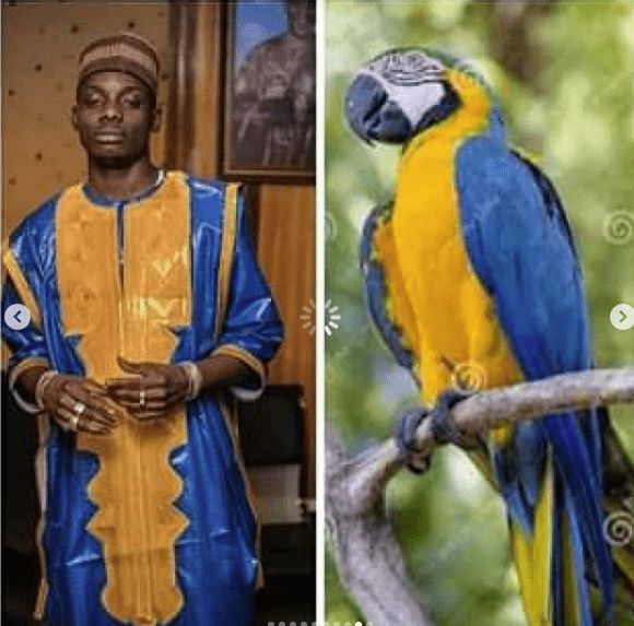 (08 Photos) : Sagnsé Korité – Voici les célébrités moquées sur les réseaux sociaux à cause de leurs vêtements très particuliers