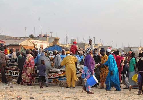 Côtes bissau-guinéennes : Une centaine de pêcheurs sénégalais arrêtés pour pêche illégale