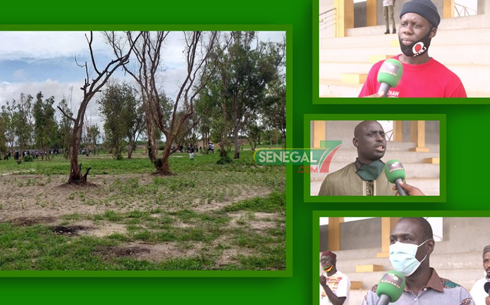 Vidéo- Forêt Classée de Mbao: La population se positionne en bouclier