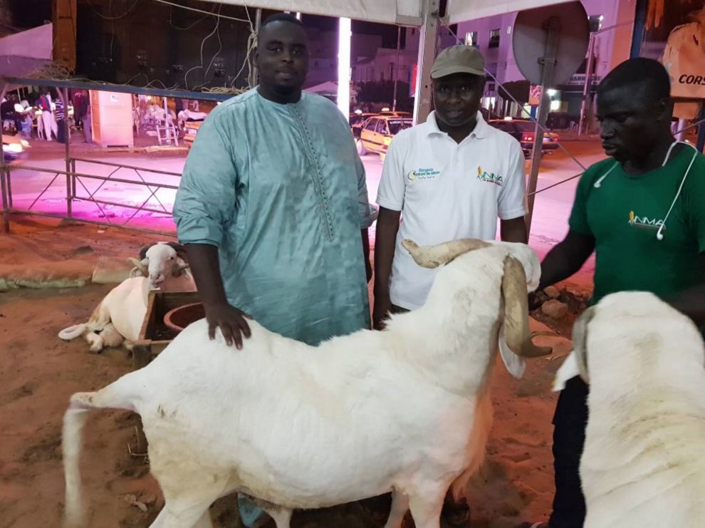 Amadou, le fils aîné de Macky Sall fête son anniversaire ce 23 juin