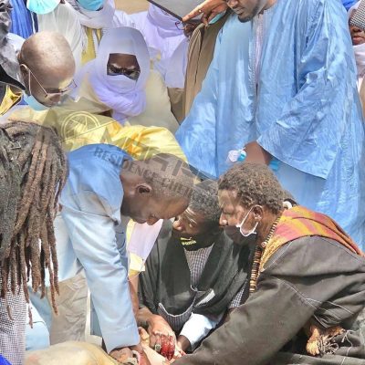 (10 Photos) Tabaski 2020 – Touba: l’immolation de mouton de Serigne Mountakh Mbacke Khalif